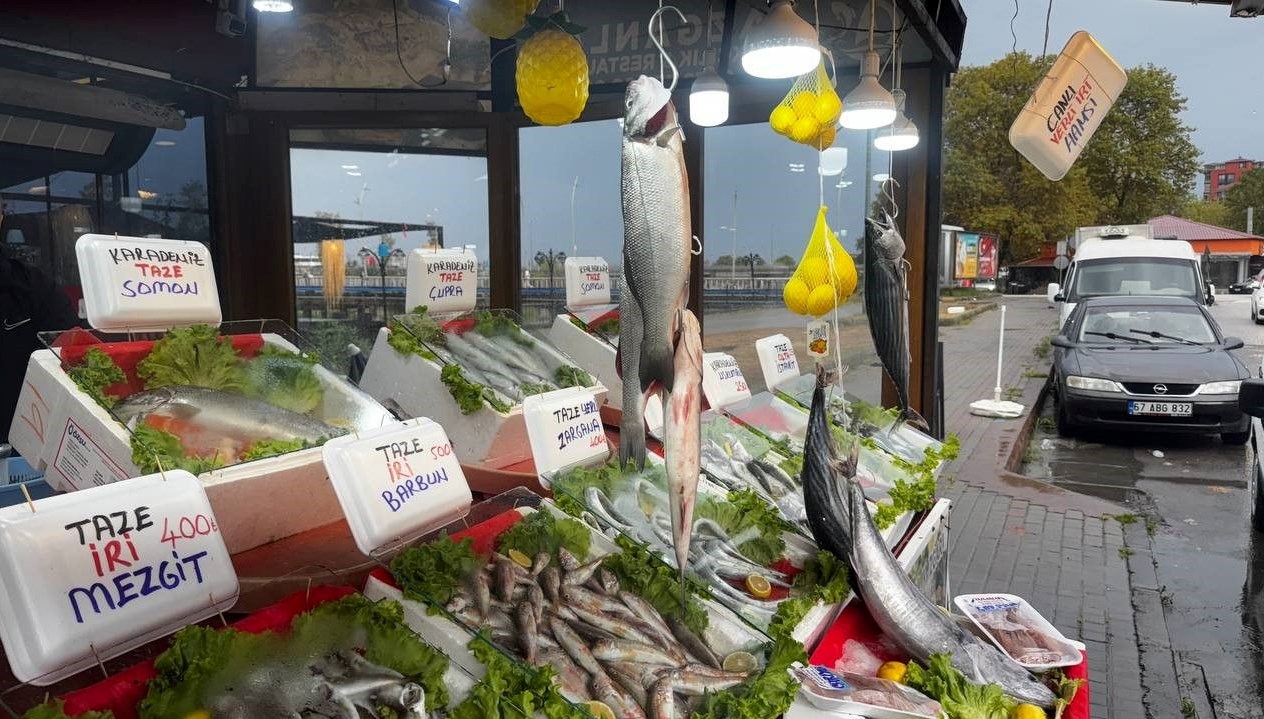 hamsi beklentisi yuksek palamut icin umut sifir WtiG4EBi