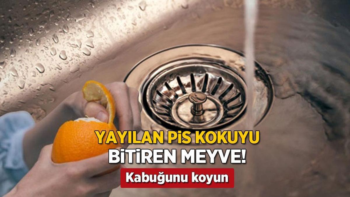 cope atmak yerine lavabonun icine birakin portakal tum pis kokuyu yutuyor Jtkug9f8.jpg