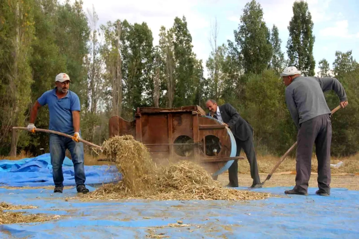 geleneksel yontemlerle ata tohumu fasulye uretimi GN8Y4qcy