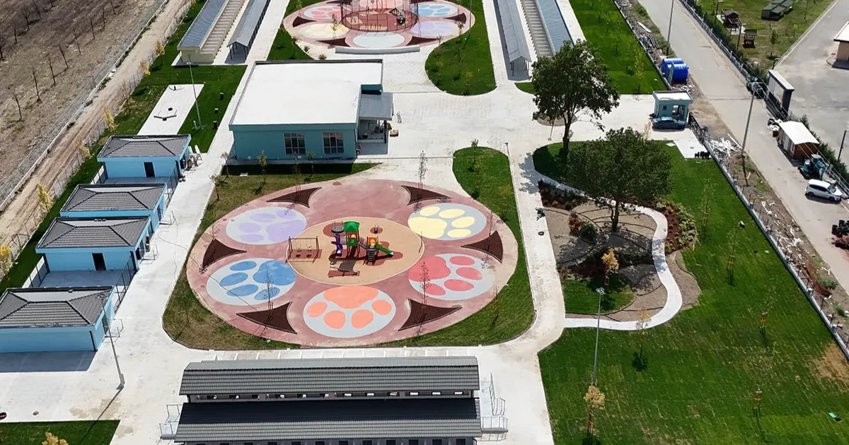 sakaryada sokak hayvanlarina guvenli yuva hPGCZr5m