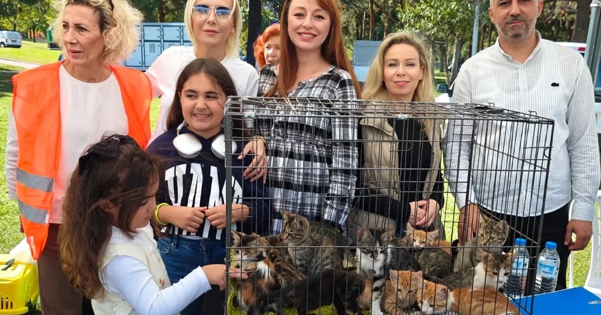 satin alma sahiplen etkinliginde can dostlara yeni yuvalar Z8e55uR7