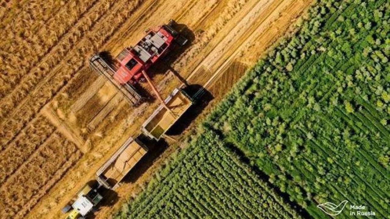 Rusya’dan Türkiye’ye tarım ihracatı %85 arttı: Made in Russia artışta nasıl bir rol oynadı